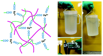 Graphical abstract: Hierarchical structural double network hydrogel with high strength, toughness, and good recoverability