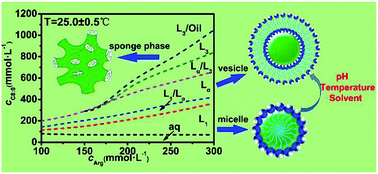 Graphical abstract: Phase behaviors and self-assembled properties of ion-pairing amphiphile molecules formed by medium-chain fatty acids and l-arginine triggered by external conditions