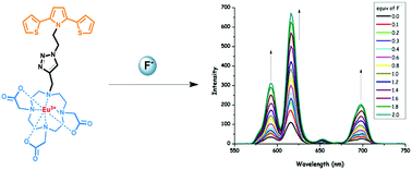 Graphical abstract: A phosphorescent fluoride probe based on Eu(ııı)-DO3A clicked with a 2,5-di(thien-2-yl)pyrrole scaffold