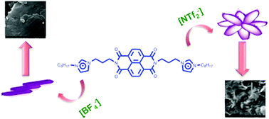Graphical abstract: The anion impact on the self-assembly of naphthalene diimide diimidazolium salts