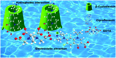 Graphical abstract: Adsorptive removal of ciprofloxacin by ethylene diaminetetraacetic acid/β-cyclodextrin composite from aqueous solution