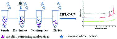 Graphical abstract: A boronate-decorated porous carbon material derived from a zinc-based metal–organic framework for enrichment of cis-diol-containing nucleosides