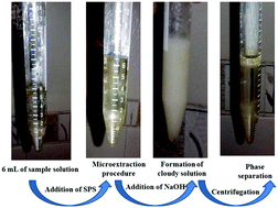 Graphical abstract: Switchable polarity solvents for preconcentration and simultaneous determination of amino acids in human plasma samples