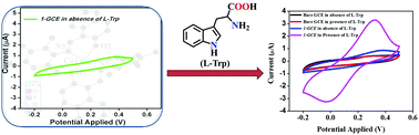 Graphical abstract: A highly selective and sensitive chemosensor for l-tryptophan by employing a Schiff based Cu(ii) complex