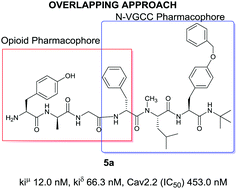 Graphical abstract: Design, synthesis and biological profile of mixed ****** agonist/N-VGCC blocker peptides