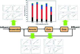 Graphical abstract: Four-stage biofilm anaerobic–anoxic–oxic–oxic system for strengthening the biological treatment of coking wastewater: COD removal behaviors and biokinetic modeling