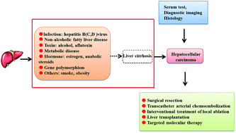 Graphical abstract: Metabolomic applications in hepatocellular carcinoma: toward the exploration of therapeutics and diagnosis through small molecules
