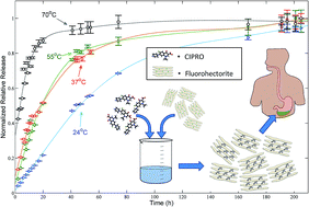 Graphical abstract: Ciprofloxacin intercalated in fluorohectorite clay: identical pure drug activity and toxicity with higher adsorption and controlled release rate