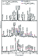 Graphical abstract: Urea-assisted synthesis of hydroxyapatite nanorods from naturally occurring impure apatite rocks for biomedical applications