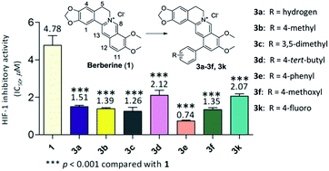 Graphical abstract: Synthesis and evaluation of novel 12-aryl berberine analogues with hypoxia-inducible factor-1 inhibitory activity