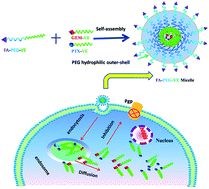 Graphical abstract: Co-delivery of hydrophilic gemcitabine and hydrophobic paclitaxel into novel polymeric micelles for cancer treatment