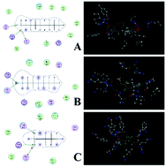 Graphical abstract: Interaction rule and mechanism of perfluoroalkyl sulfonates containing different carbon chains with human serum albumin