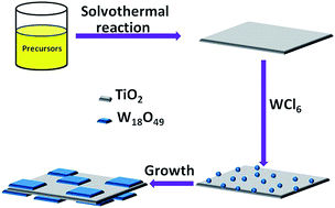 Graphical abstract: Plasmonic W18O49-photosensitized TiO2 nanosheets with wide-range solar light harvesting