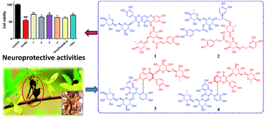 Graphical abstract: Four new phenylethanoid and flavonoid glycoside dimers from the fruits of Forsythia suspensa and their neuroprotective activities
