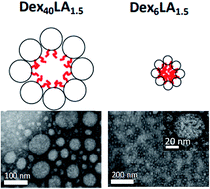 Graphical abstract: Dextran-g-lauric acid as IKK complex inhibitor carrier