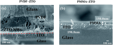 Graphical abstract: Synergistic piezophotocatalytic and photoelectrochemical performance of poly(vinylidene fluoride)–ZnSnO3 and poly(methyl methacrylate)–ZnSnO3 nanocomposites