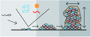 Graphical abstract: Matrix composition determines the dimensions of Bacillus subtilis NCIB 3610 biofilm colonies grown on LB agar