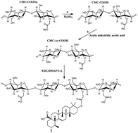 Graphical abstract: Self-assembled nanoparticles based on a carboxymethylcellulose–ursolic acid conjugate for anticancer combination therapy
