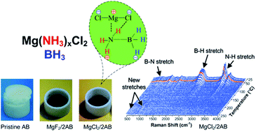Graphical abstract: The superior desorption properties of MgCl2-added ammonia borane compared to MgF2-added systems—the unexpected role of MgCl2 interacting with [NH3] units