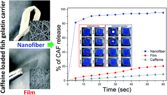Graphical abstract: Fish gelatin nanofibers prevent drug crystallization and enable ultrafast delivery
