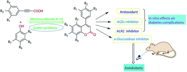 Graphical abstract: Synthesis and biological evaluation of novel neoflavonoid derivatives as potential antidiabetic agents