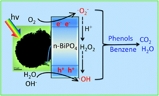 Graphical abstract: Hierarchical h-, m- and n-BiPO4 microspheres: facile synthesis and application in the photocatalytic decomposition of refractory phenols and benzene