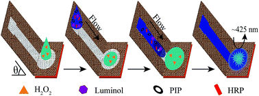 Graphical abstract: Facile and sensitive chemiluminescence detection of H2O2 and glucose by a gravity/capillary flow and cloth-based low-cost platform
