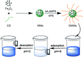 Graphical abstract: Polymer-grafted magnetic microspheres for enhanced removal of methylene blue from aqueous solutions