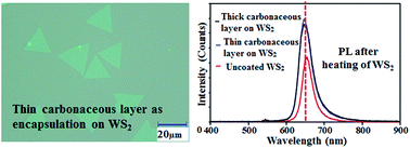Graphical abstract: Encapsulation of transition metal dichalcogenides crystals with room temperature plasma deposited carbonaceous films