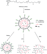 Graphical abstract: Temperature, ultrasound and redox triple-responsive poly(N-isopropylacrylamide) block copolymer: synthesis, characterization and controlled release