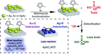 Graphical abstract: Detoxification of organophosphates using imidazole-coated Ag, Au and AgAu nanoparticles