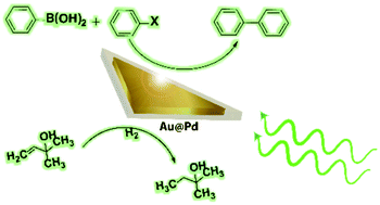 Graphical abstract: Improving the rates of Pd-catalyzed reactions by exciting the surface plasmons of AuPd bimetallic nanotriangles