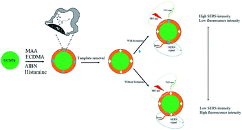 Graphical abstract: Bimodal counterpropagating-responsive sensing material for the detection of histamine