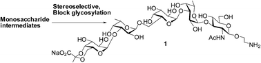 Graphical abstract: Concise synthesis of the pyruvic acid acetal containing pentasaccharide repeating unit of the cell wall O-antigen of Escherichia coli O156