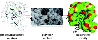 Graphical abstract: The selective response of a templated polymer for the cationic drug pentamidine: implications from molecular simulations and experimental data