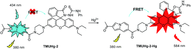 Graphical abstract: An indolizine–rhodamine based FRET fluorescence sensor for highly sensitive and selective detection of Hg2+ in living cells
