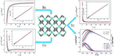 Graphical abstract: The diversities of magnetic behaviors appearing simultaneously in three isomorphs based on 1H-tetrazolyl-acetic acid ligand