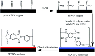 Graphical abstract: Polyimide thin film composite (TFC) membranes via interfacial polymerization on hydrolyzed polyacrylonitrile support for solvent resistant nanofiltration