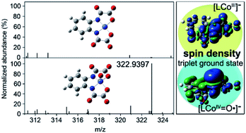Graphical abstract: Generation of reactive cobalt oxo oxamate radical species for biomimetic oxidation of contaminants