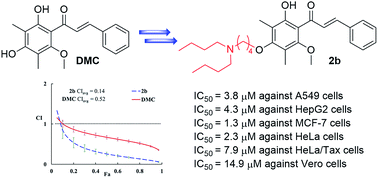 Graphical abstract: Synthesis, cytotoxic activity and drug combination study of tertiary amine derivatives of 2′,4′-dihydroxyl-6′-methoxyl-3′,5′-dimethylchalcone
