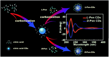 Graphical abstract: Optically active blue-emitting carbon dots to specifically target the Golgi apparatus
