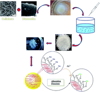 Graphical abstract: Solvent-free synthesis of the cellulose-based hybrid beads for adsorption of lead ions in aqueous solutions