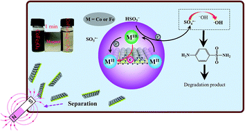 Graphical abstract: A magnetic CoFe2O4–CNS nanocomposite as an efficient, recyclable catalyst for peroxymonosulfate activation and pollutant degradation