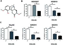 Graphical abstract: Sinomenine inhibits ovarian cancer cell growth and metastasis by mediating the Wnt/β-catenin pathway via targeting MCM2