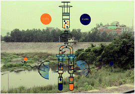 Graphical abstract: On-site separation of Cr(vi) and Cr(iii) in natural waters by parallel cartridge ion-exchange columns