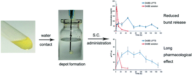 Graphical abstract: An injectable in situ lipid phase transition system for sustained delivery of dabigatran etexilate with low burst release