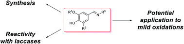 Graphical abstract: Synthesis of nitrogenated lignin-derived compounds and reactivity with laccases. Study of their application in mild chemoenzymatic oxidative processes