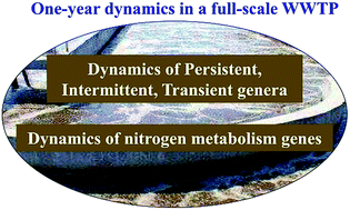 Graphical abstract: Temporal dynamics of bacterial communities and predicted nitrogen metabolism genes in a full-scale wastewater treatment plant