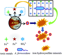 Graphical abstract: Evaluation and optimization of a new microbial enhancement plug-flow ditch system for the pretreatment of acid mine drainage: semi-pilot test