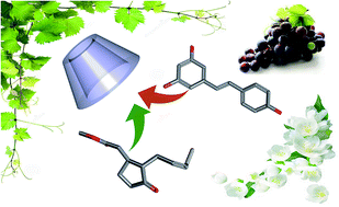 Graphical abstract: Physico-chemical studies of resveratrol, methyl-jasmonate and cyclodextrin interactions: an approach to resveratrol bioproduction optimization